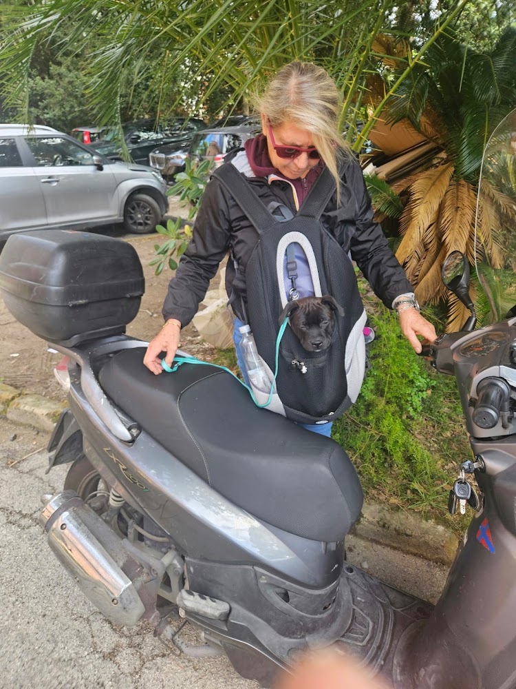 Donna con cucciolo scuro nello zaino accanto a uno scooter